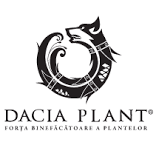DACIA PLANT