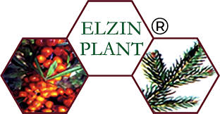 ELZIN PLANT