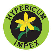 HYPERICUM
