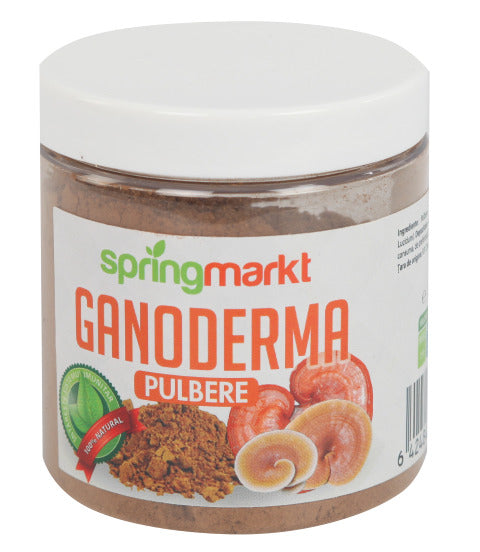 Ganoderma pulbere ecologica 50gr - Springmarkt
