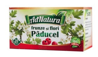 Ceai de paducel 1,5gr*20dz - Adserv