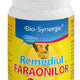Remediul faraonilor 24cps - Bio-Synergie