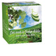 Ceai verde cu ginkgo biloba 2gr*20dz - Bis Nis