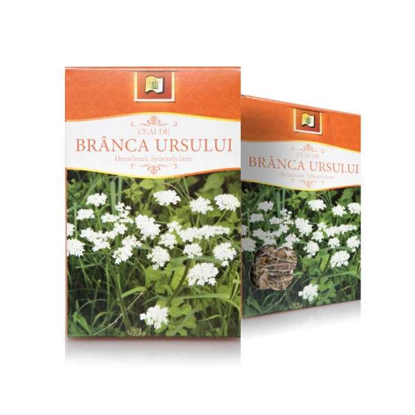 Ceai de branca ursului 50gr - Stef Mar