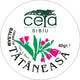 Crema tataneasa 40gr/50ml - Ceta