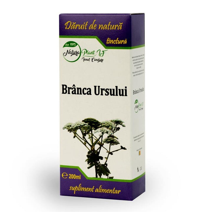 Tinctura branca ursului 200ml - Natura Plant Poieni