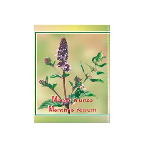 Ceai de menta 50gr - Cyani