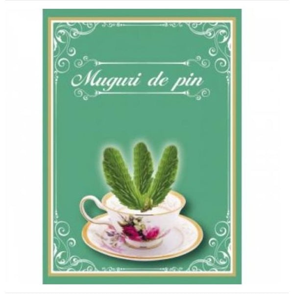 Ceai de muguri pin 50gr - Cyani
