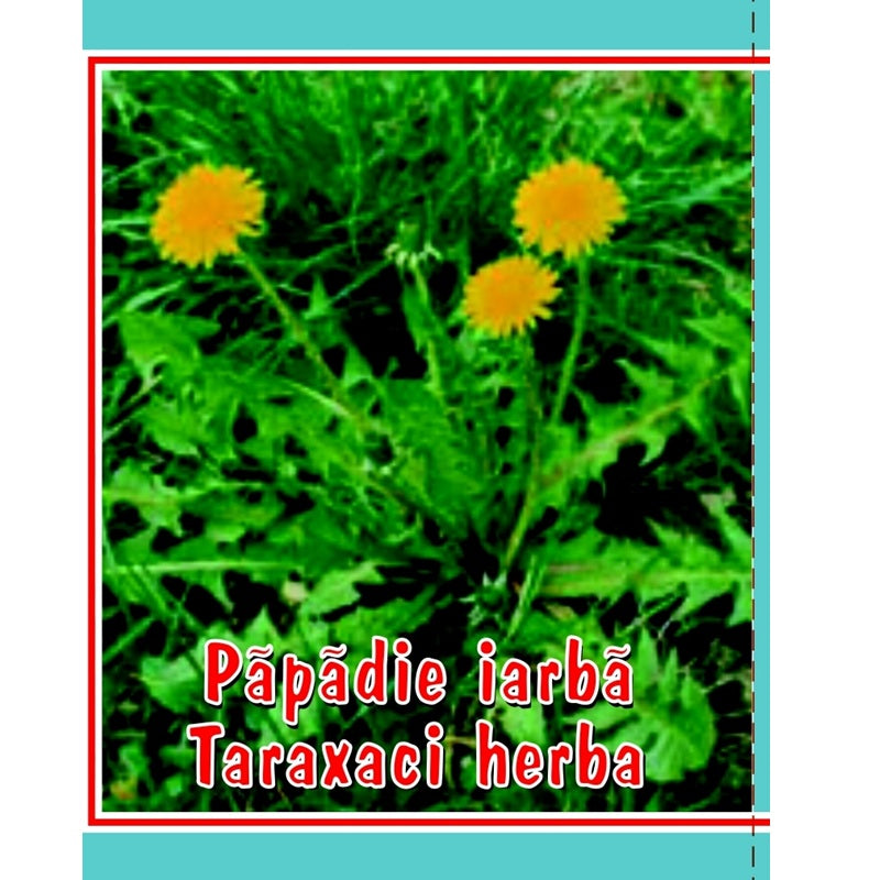 Ceai de papadie 50gr - Cyani
