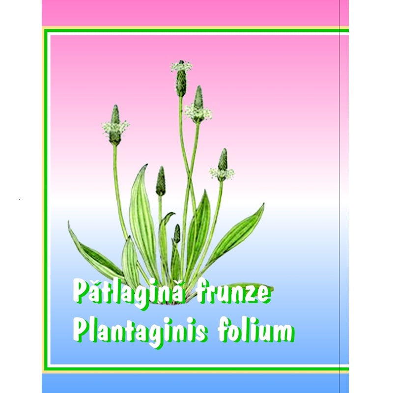 Ceai de patlagina 50gr - Cyani