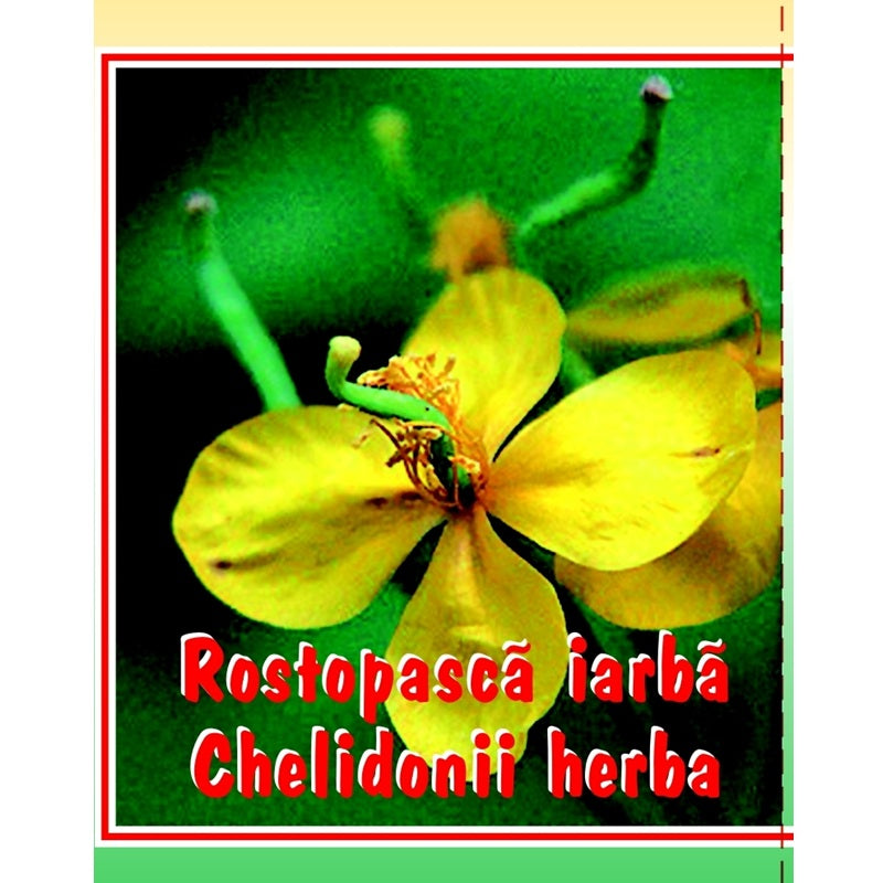 Ceai de rostopasca 50gr - Cyani