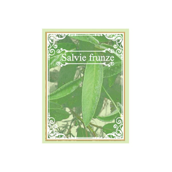 Ceai de salvie 50gr - Cyani