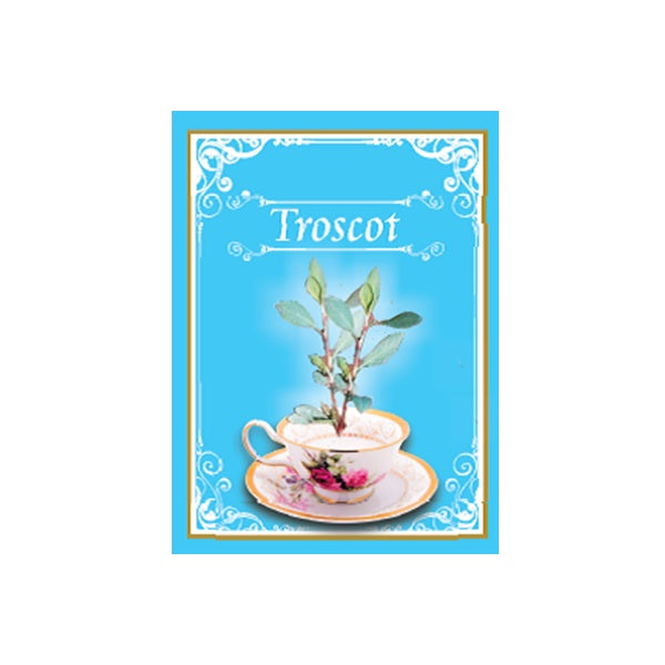 Ceai de troscot 50gr - Cyani