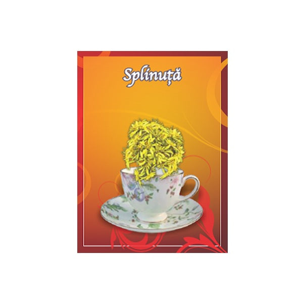 Ceai de splinuta 50gr - Cyani