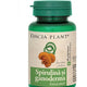 Spirulina si ganoderma 60cpr - Dacia Plant