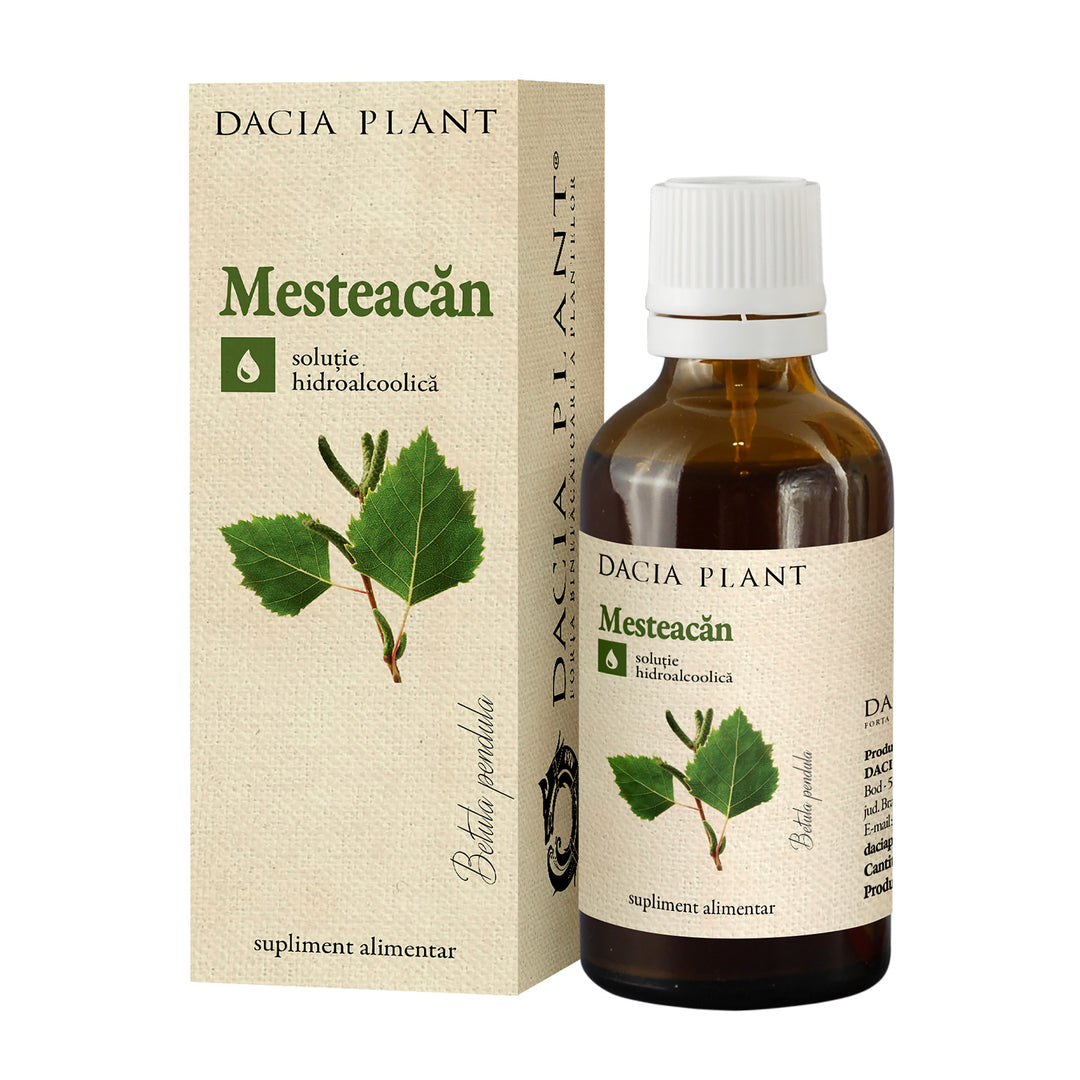 Tinctura mesteacan 50ml - Dacia Plant