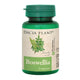 Boswellia 60cpr - Dacia Plant