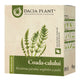 Ceai de coada-calului 50 g – Dacia Plant - Păr, unghii, piele