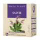 Ceai de salvie 50gr - Dacia Plant