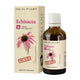Tinctura echinacea fara alcool 50ml - Dacia Plant