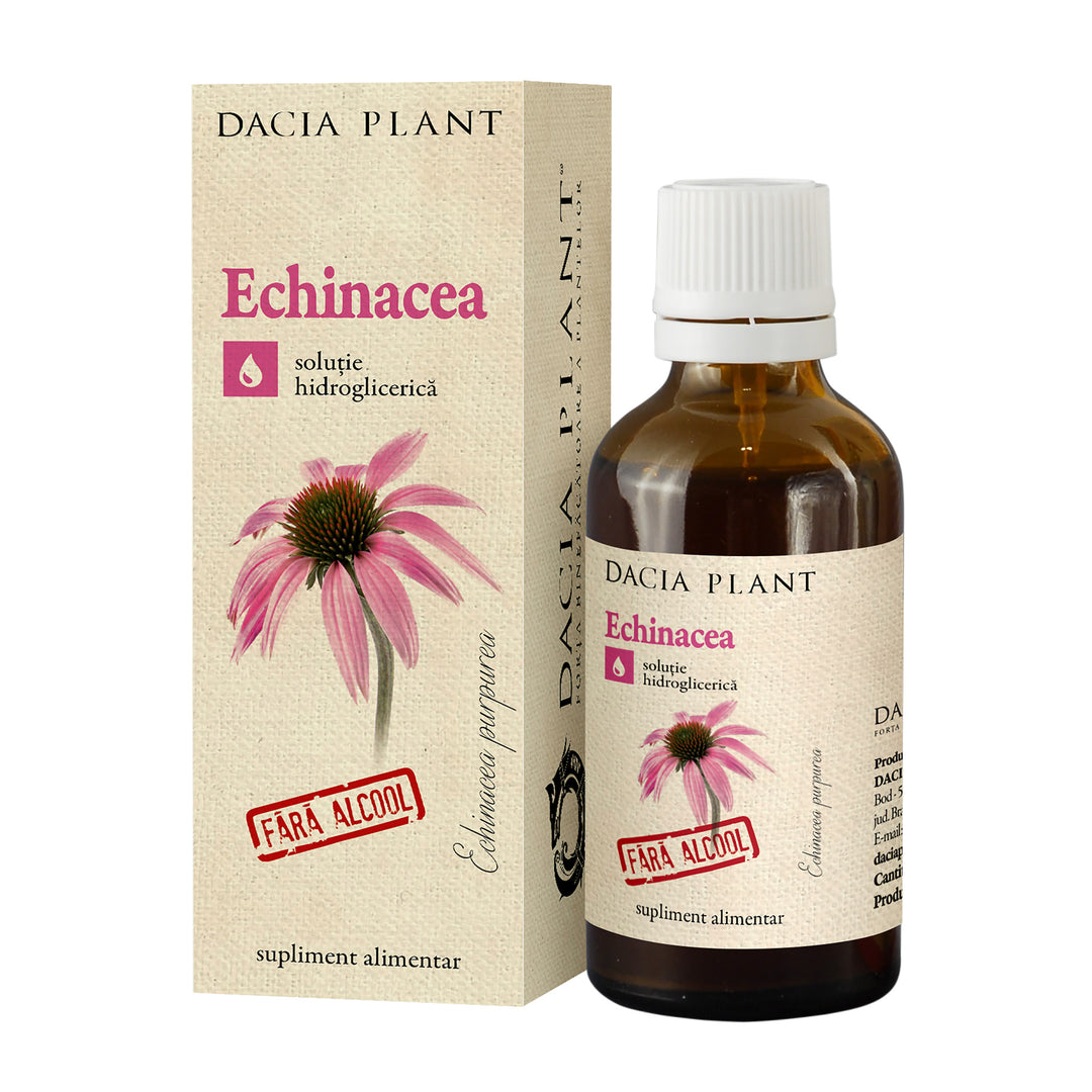 Tinctura echinacea fara alcool 50ml - Dacia Plant