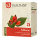 Ceai de macese 50gr - Dacia Plant