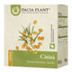 Ceai de catina 50gr - Dacia Plant