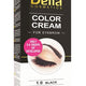 Vopsea sprancene ul.argan 1.0 negru 15ml - Delia Cosmetics