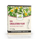 Ceai circulatoriu plant 150gr - Dorel Plant