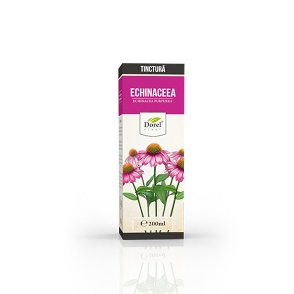 Tinctura echinaceea purpureea 200ml - Dorel Plant
