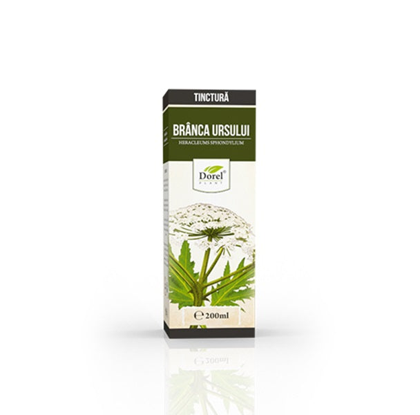 Tinctura branca ursului 200ml - Dorel Plant
