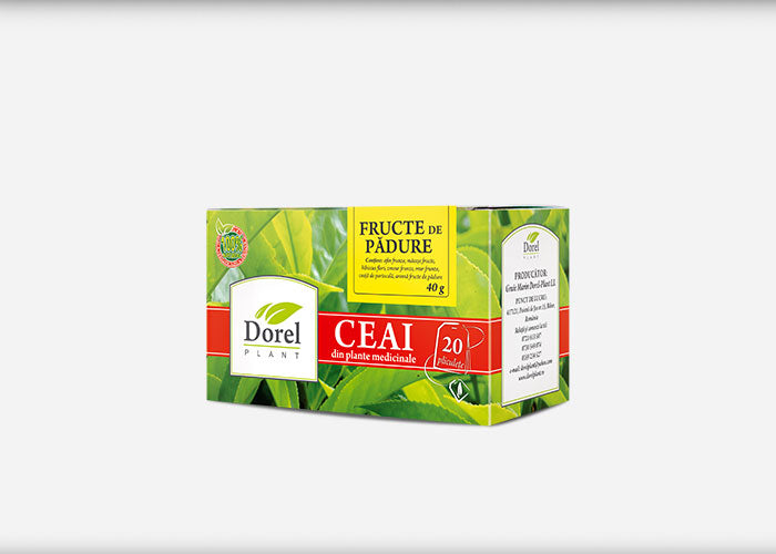 Ceai de Fructe de Padure 20dz x 2gr-DORE.00098
