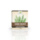 Ceai de coada calului 50gr - Dorel Plant