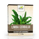 Ceai de limba cerbului 120gr - Dorel Plant