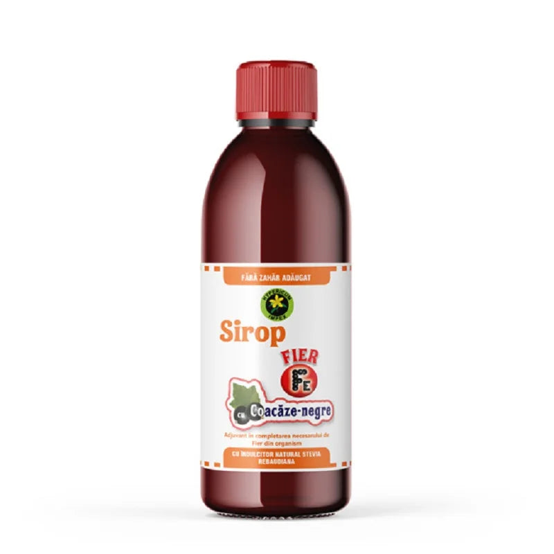 Sirop Fier cu Coacaze Negre & stevie, Fara Zahar, 500 ml-HYPE.00575