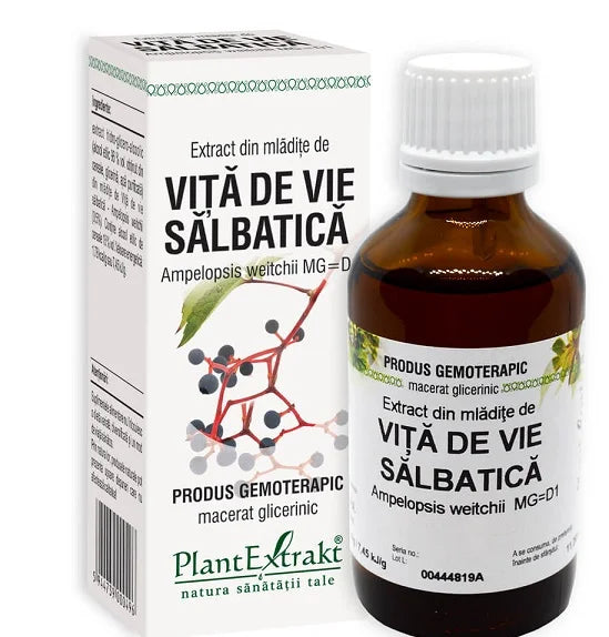 Extract din Mladite de Vita de Vie Salbatica, 50 ml-PLAX.00083