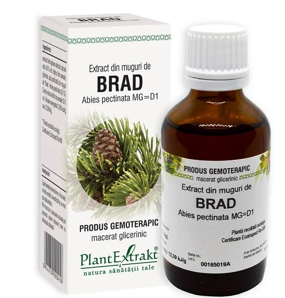 Extract din Muguri de Brad, 50 ml-PLAX.00043