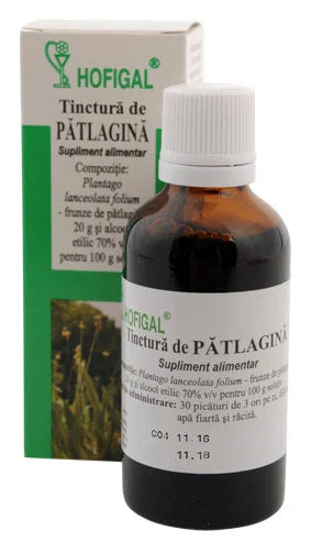 Tinctura Patlagina, 50 ml-HOFI.00176