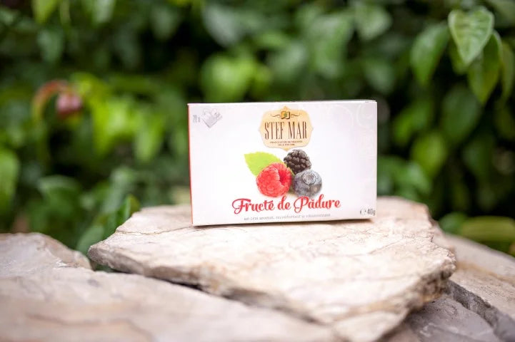 Fructe de padure Premium, 2 gr × 20 doze-STMR.00186