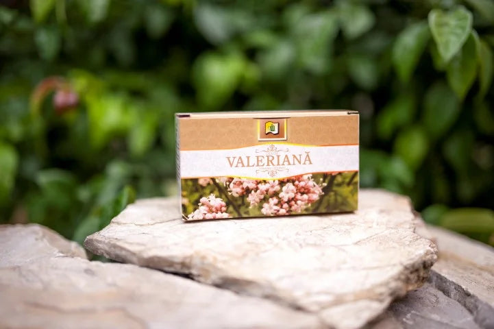 Valeriana, 1,5 gr × 20 doze-STMR.00113