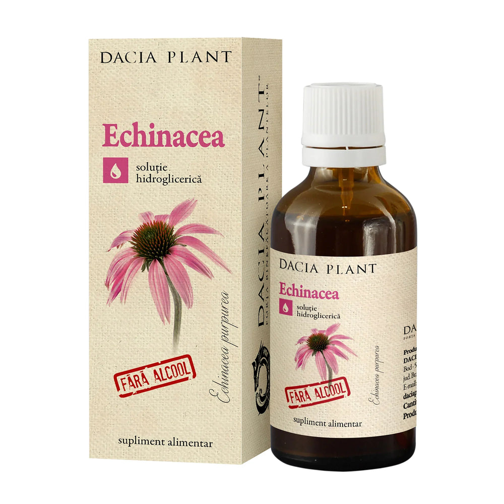 Tinctura echinacea fara alcool 50ml-DACP.00478