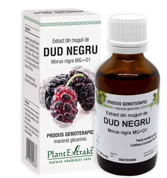 Extract din Muguri de Dud Negru, 50 ml-PLAX.00051