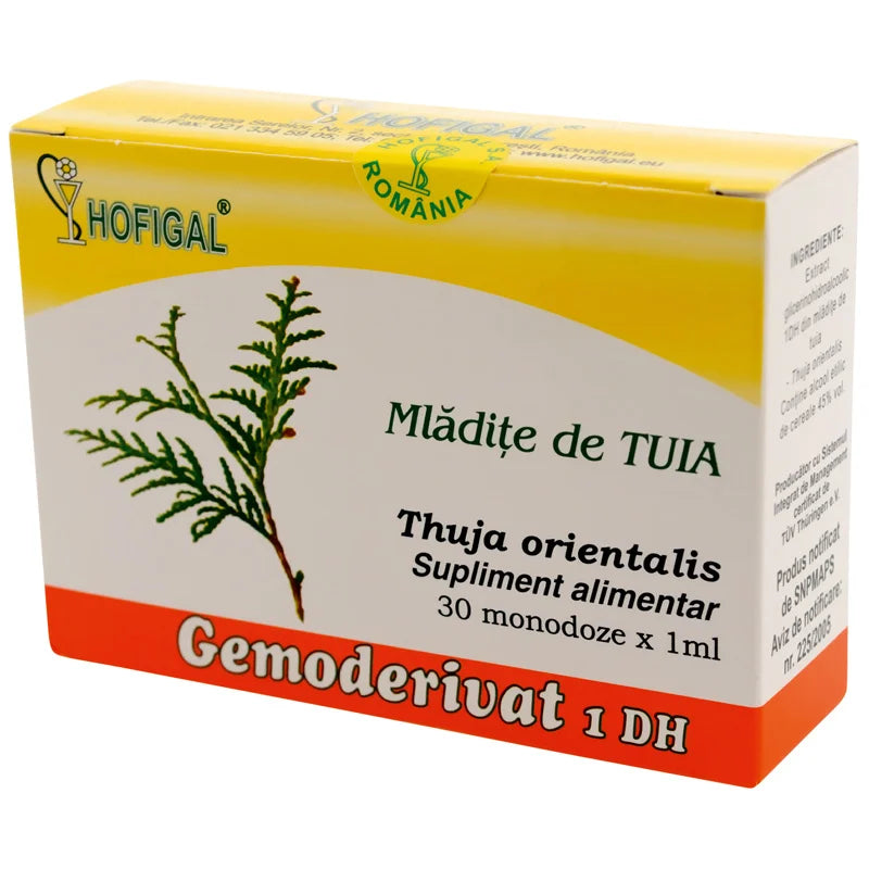 Gemoderivat Mladite Tuia, 1 ml x 30 monodoze-HOFI.00083