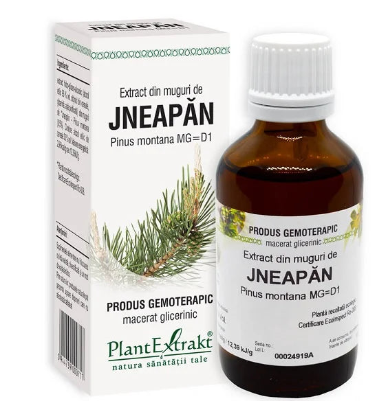 Extract din Muguri de Jneapan, 50 ml-PLAX.00056