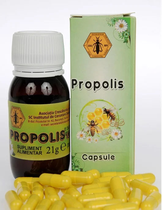 Propolis, 30 capsule-INST.00040