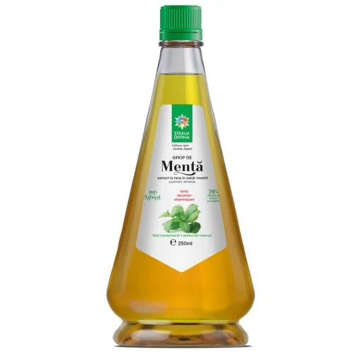Sirop de menta, 250 ml-SANT.00309