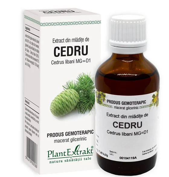 Extract din Mladite de Cedru, 50 ml-PLAX.00160