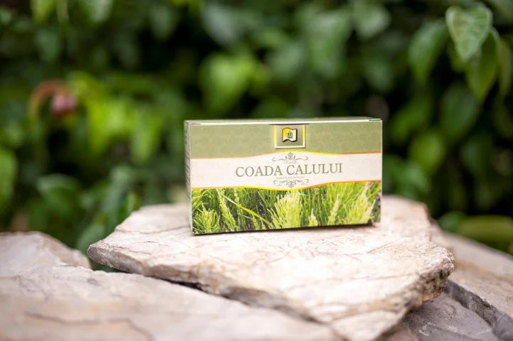 Coada-calului, 1,5 gr × 20 doze-STMR.00027