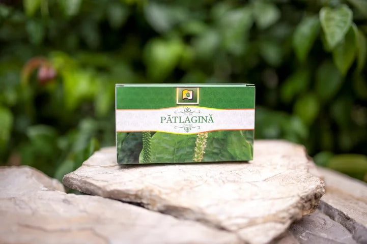 Patlagina, 1,5 gr × 20 doze-STMR.00173