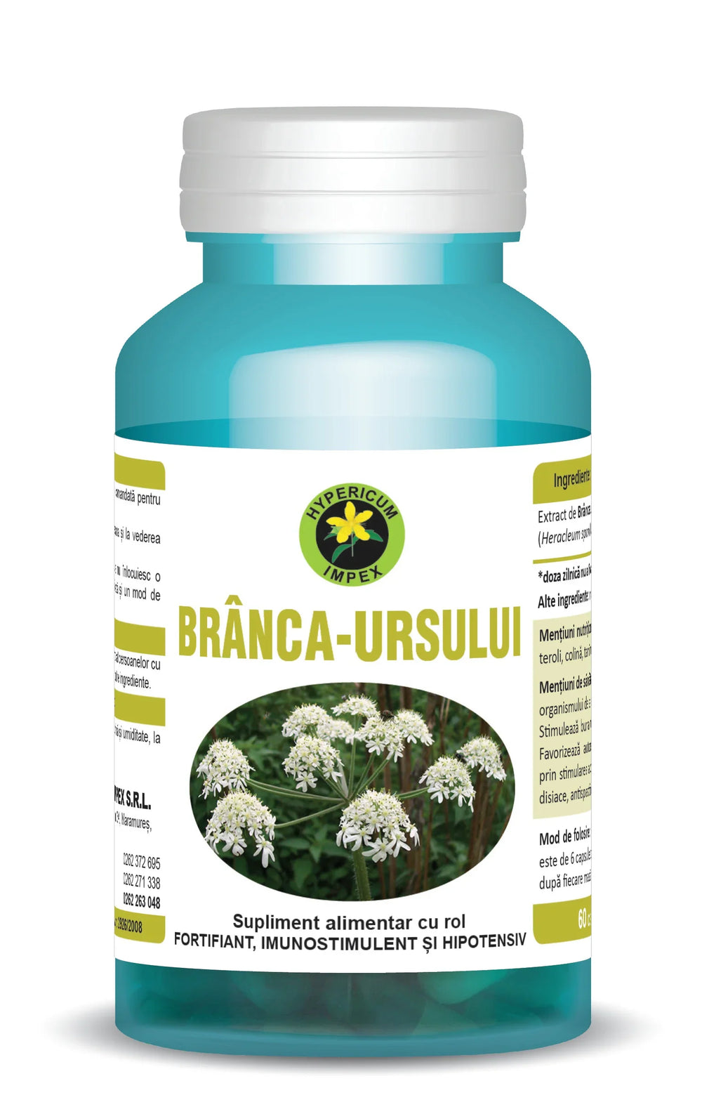 Branca Ursului, 60 capsule-HYPE.00042